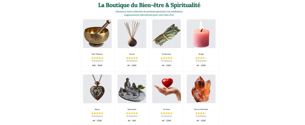 Boutique e-commerce premium