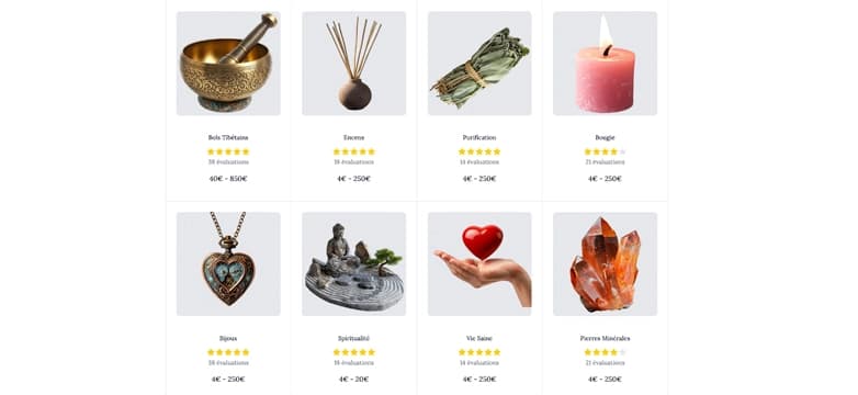 Boutique e-commerce premium